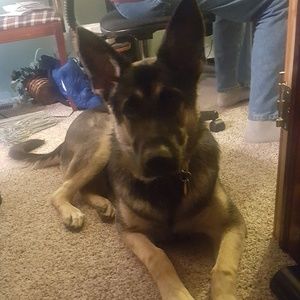 Meet your Posher, Matt